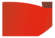 Startup Germany e.V.